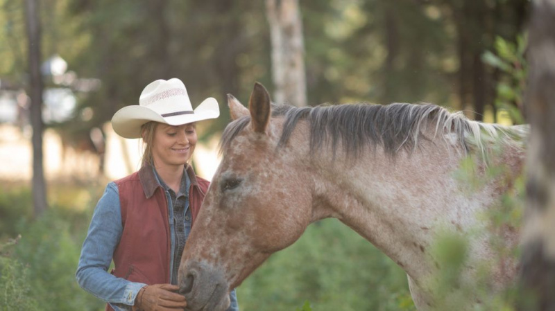 Heartland 14 sezonas Amy