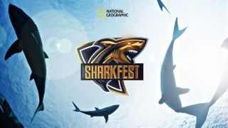 National Geographic Sharkfest