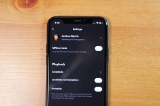 Puoi riprodurre musica offline con TIDAL?