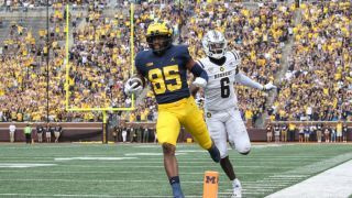 glotones de michigan