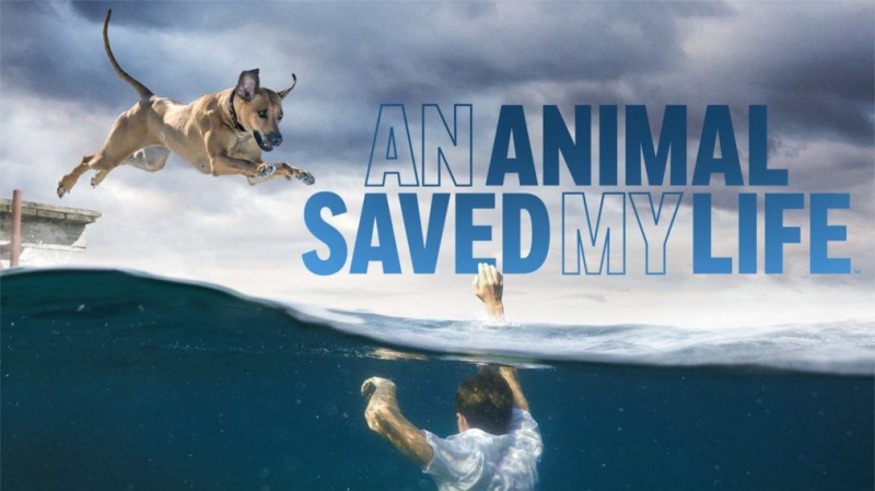 Un animal me salvó la vida