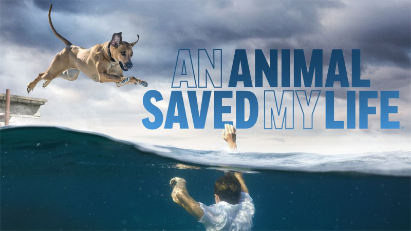 Un animal me salvó la vida - A&E