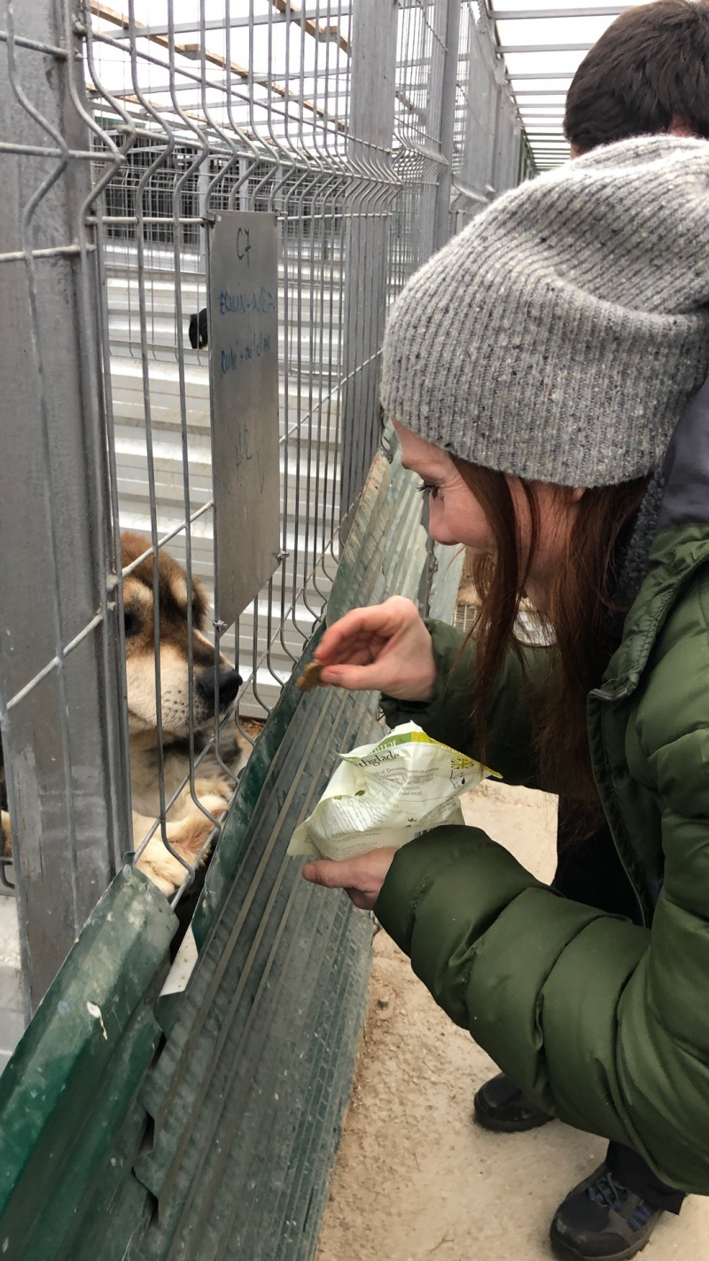  Rosie Marcel upoznaje pse lutalice s projektom Čopor