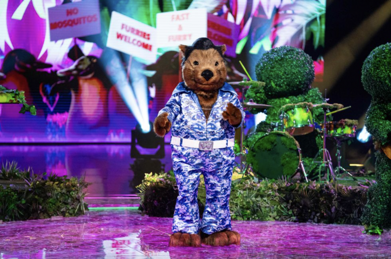   Kostým Wombat v novej sérii Masked Singer
