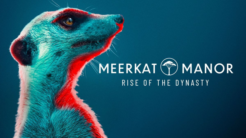 Имение Meerkat: Възходът на династията - BBC Америка