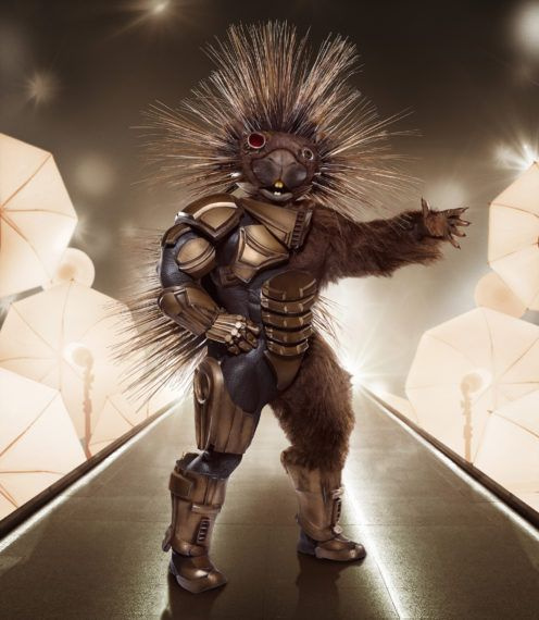 Porcupine The Masked Singer 5 sezono kostiumas