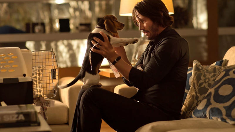   Keanu Reeves ține un cățeluș în John Wick