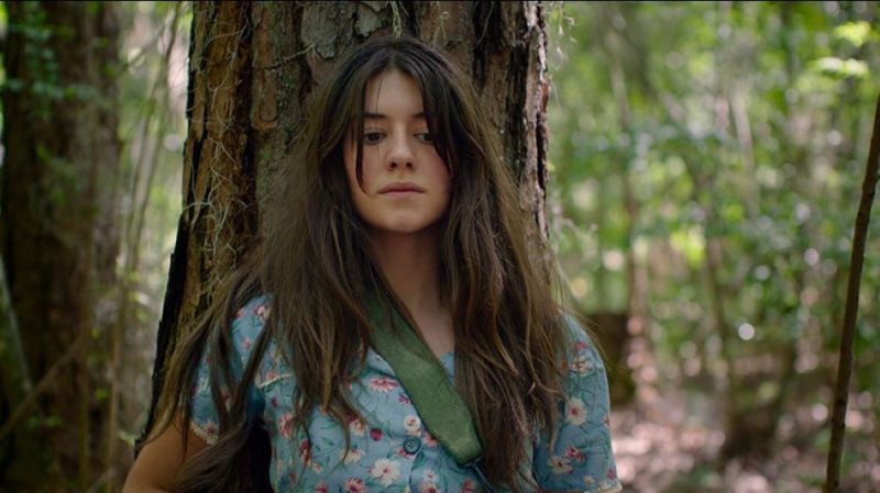   Daisy Edgar-Jones ซ่อนตัวอยู่หลังต้นไม้ใน Where the Crawdads Sing