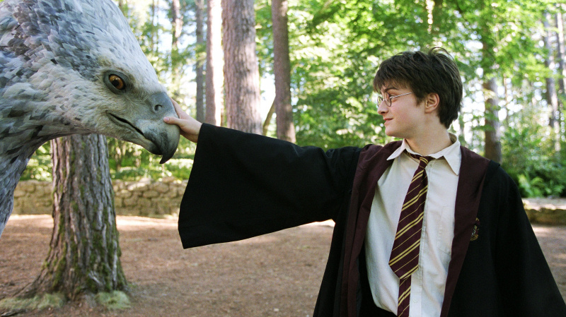   Daniel Radcliffe ako Harry Potter vo filme Väzeň z Azkabanu
