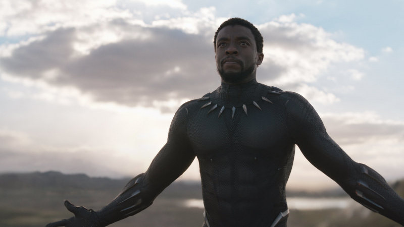   Чедвик Бозман как t'Challa in Black Panther