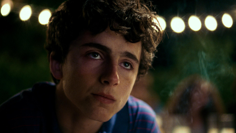   Timothee Chalamet in Call Me By Your Name