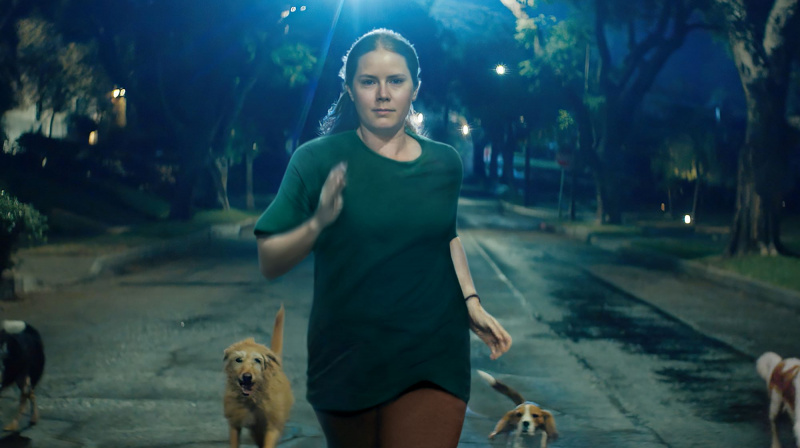 Amy Adams în Nightbitch