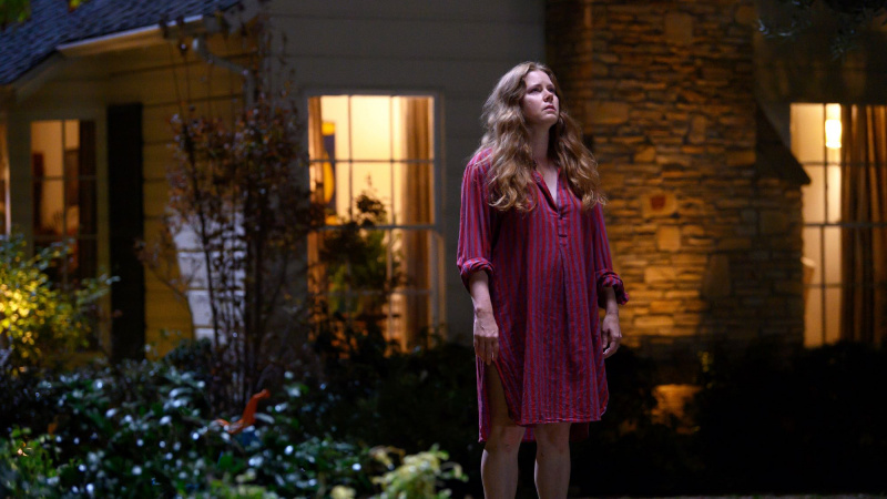   Amy Adams în Nightbitch