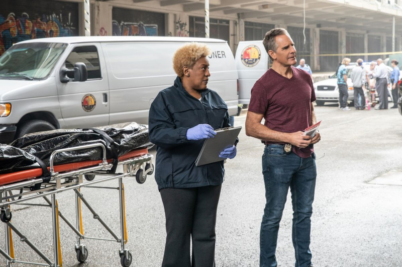 CCH Pounder Scott Bakula NCIS Ņūorleānas Loretas lepnums