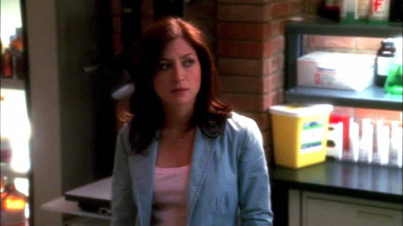 NCIS Kate Todd Sasha Alexander