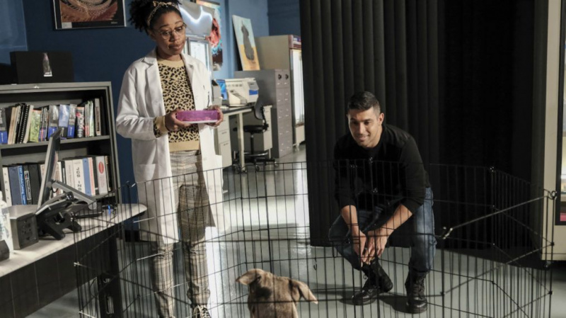 Kasie Torres Dog NCIS 18. sezonas 10. sērija