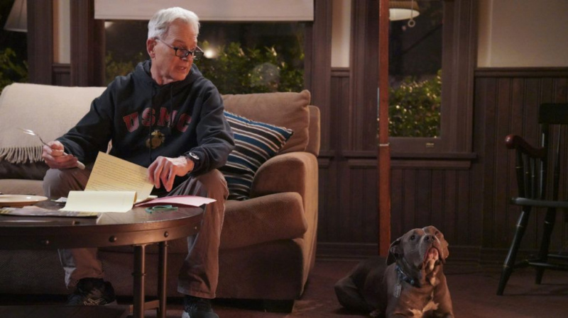 Gibbs Lucy NCIS temporada 18, episódio 12