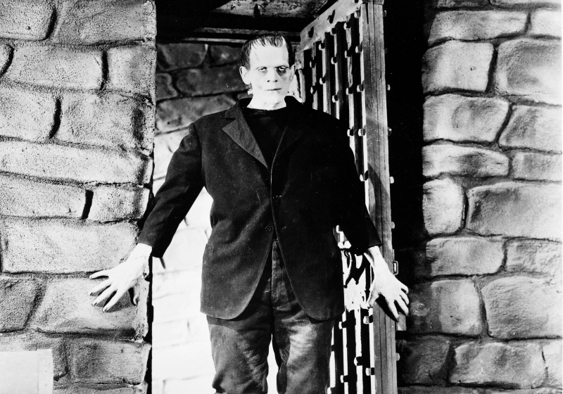   Boris Karloff ako Frankenstein's monster.