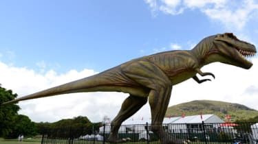 Postrach tyranosaurov: lovili dinosaury v svorkách?
