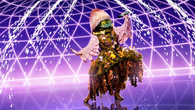 Masked Singer Mushroom