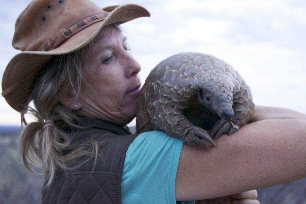 Pangolinid: maailm