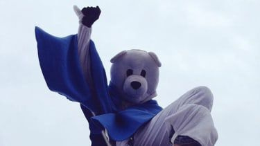 Heathrow Expansion - Polar Bear