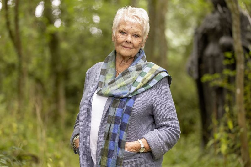 Telewizja dzisiaj Dame Judi Dench