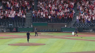 Fox Sports utilizza fan virtuali nelle sue trasmissioni di baseball