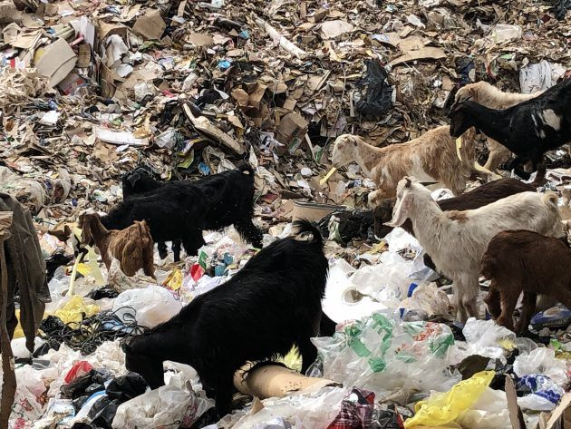 TV ce soir Le Nil de Plastique