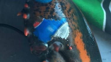 Pepsi omaras: „tatuiruota“ letena su gėrimų etikete plinta