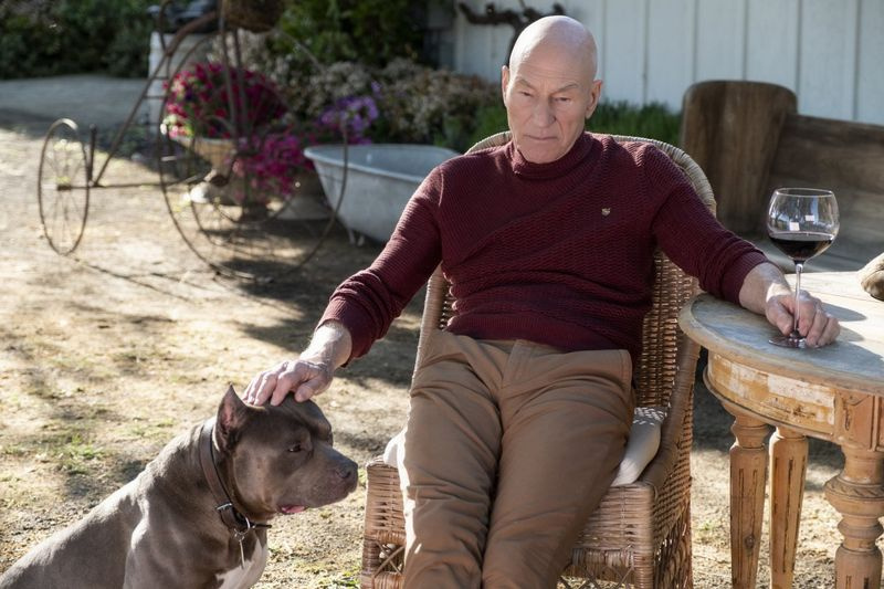 El tema musical de Star Trek: Picard: hacer que lo icónico sea más agradable