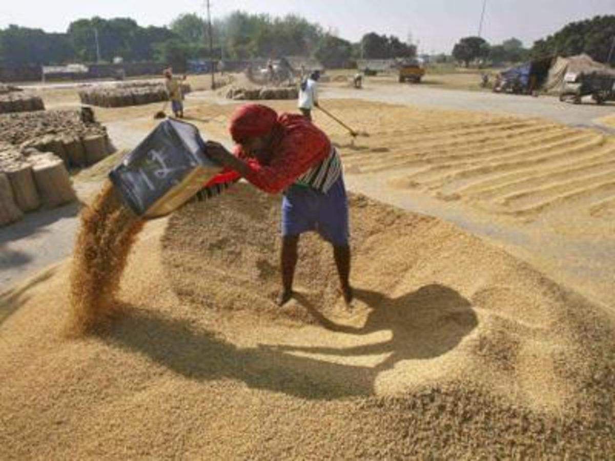 16400 toneladas de arroz