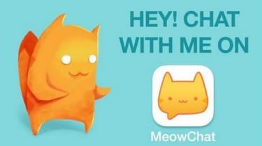 Meow Chat: hva er det og hvordan blokkerer jeg de endeløse invitasjonene?