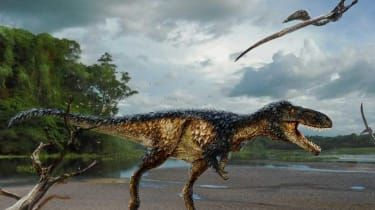 Skajas salā atrastas dinozauru pēdas