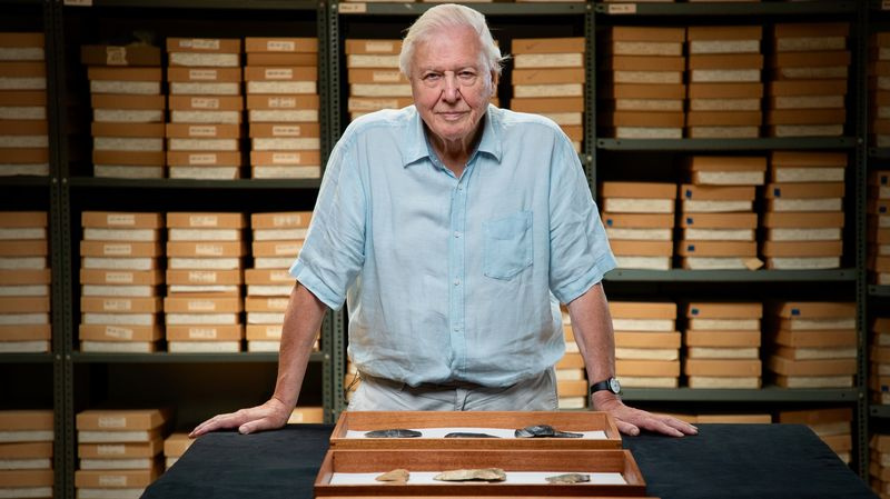 Stasera TV David Attenborough.