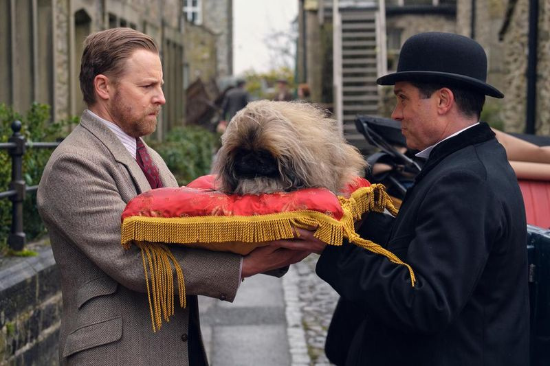 TV tänä iltana Tricki Woo Pekingese.