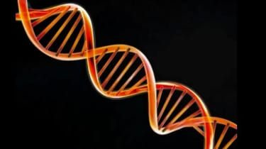 23andMe: zakaj so bili kompleti DNK odobreni v Združenem kraljestvu?