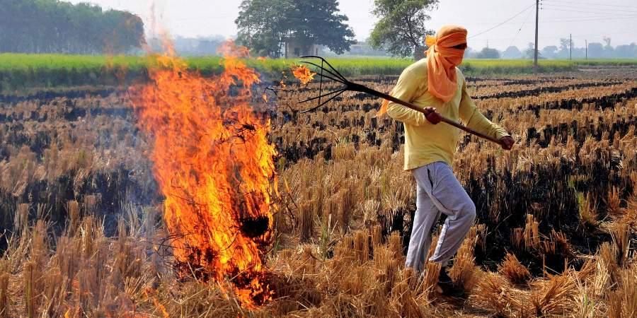 Tynkä polttava punjab
