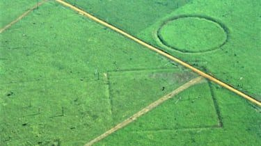farm_kolorada.jpg