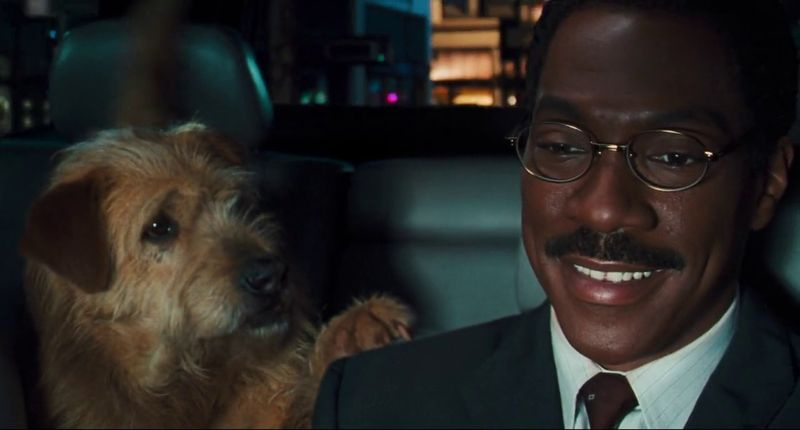 Norm MacDonald Dr Dolittle