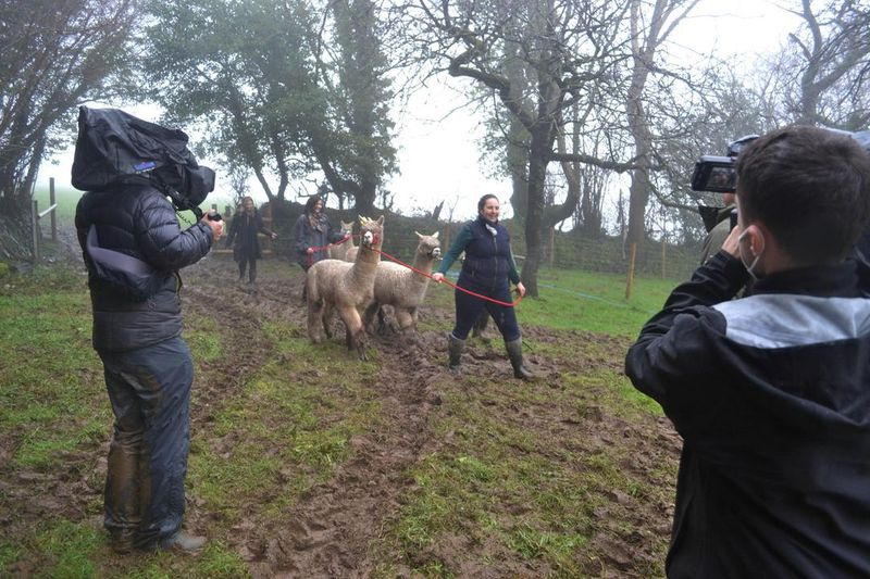 TV hoje à noite Adam ajuda os agricultores Will e Jess.