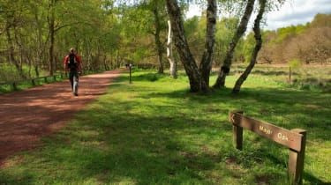 Banda Rotherham „a drogat și violat școală în pădurea Sherwood”