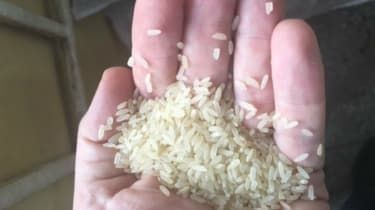 'Ris' av plast konfiskert i Nigeria