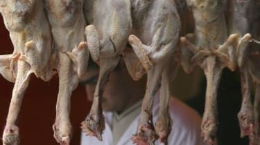 Halal-Fleisch: Was ist das und warum ist es so umstritten?