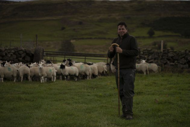 TV täna õhtul: North York Moors: metsik aasta