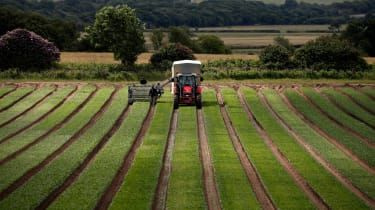 Viitorul agriculturii: o bătălie Brexit pentru peisajul britanic