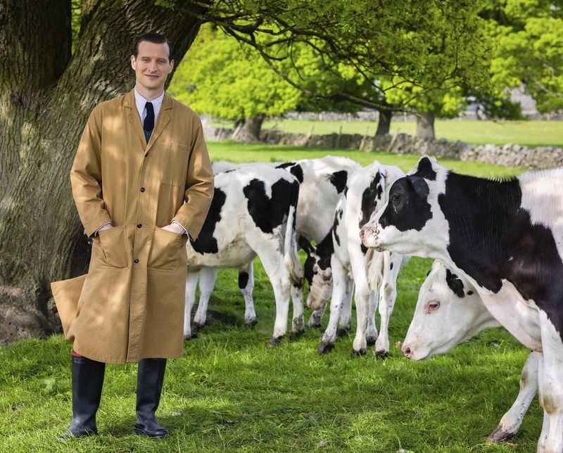 TV heute Abend Tierarzt James Herriot und seine Kühe.