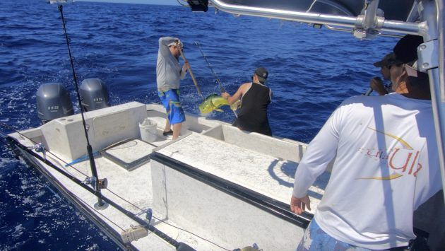 Telewizja dzisiaj Deadliest Catch: Bloodline