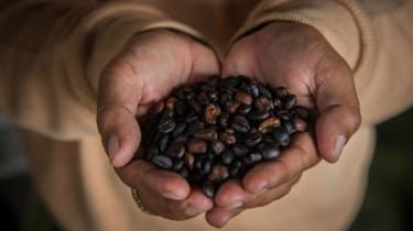 ¿Puede el café realmente hacerte vivir más tiempo?