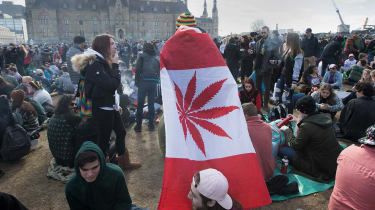 Canadisk soldat 'gav enhedens cannabiskager'